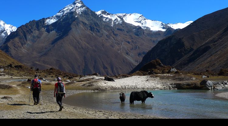 Laya Gasa Trek