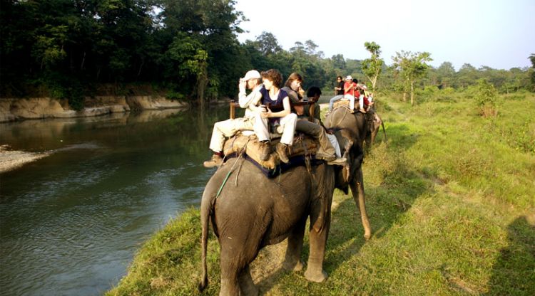 Jungle Safari in Nepal