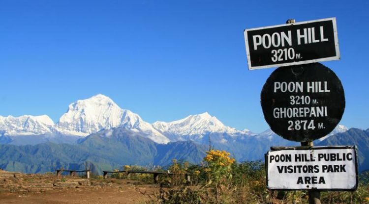 Ghorepani/ Poonhill/ Ghandruk Trek