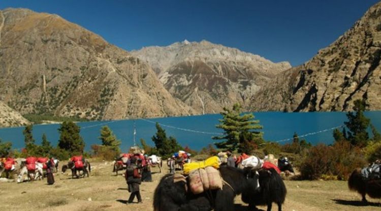 Upper Dolpa Trekking