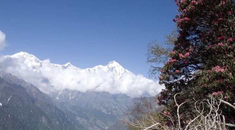 Annapurna Circuit Trekking