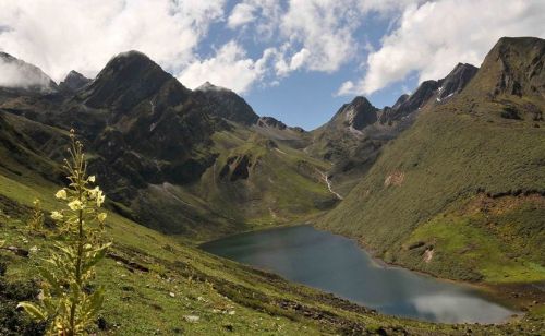 Jomolhari Trekking