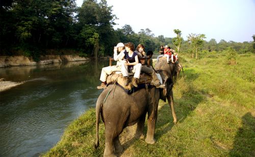 Jungle Safari in Nepal