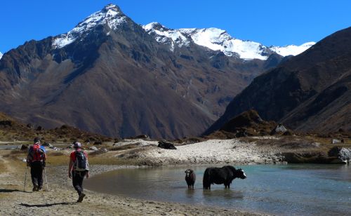 Laya Gasa Trek