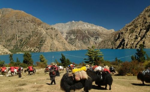 Upper Dolpa Trekking