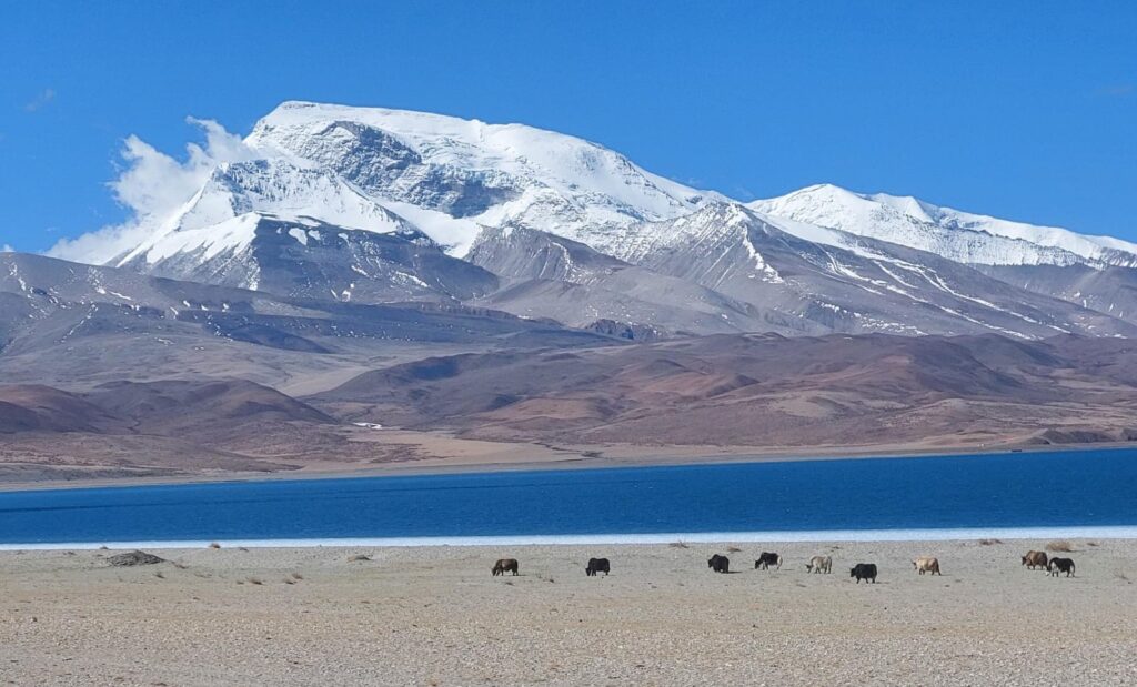 Kailash Mansarovar 2 2